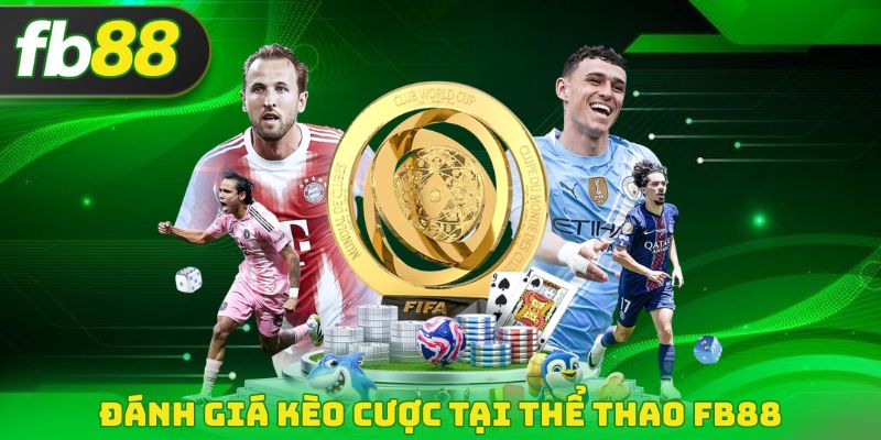 Đánh giá kèo cược tại thể thao FB88