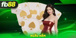 Ngầu Hầm