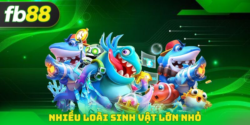 Nhiều loài sinh vật lớn nhỏ