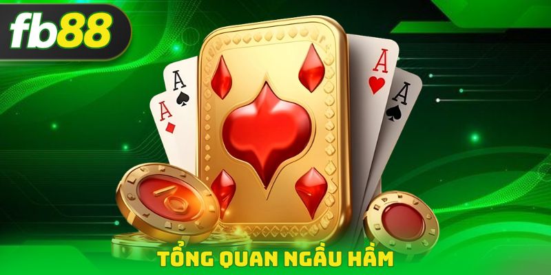 Tổng quan Ngầu Hầm
